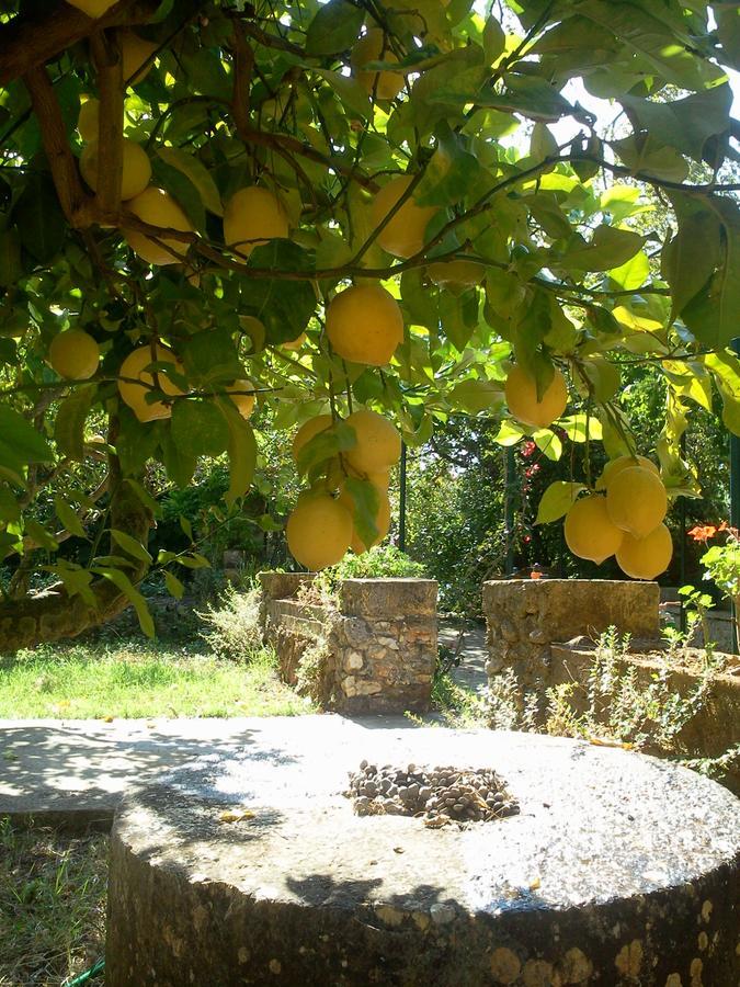 Gentilini Retreat Hotel Argostoli  Bagian luar foto
